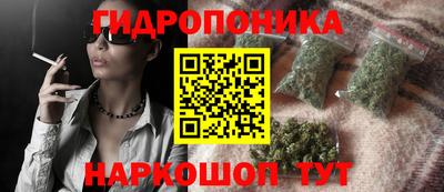 гашиш Ачхой-Мартан