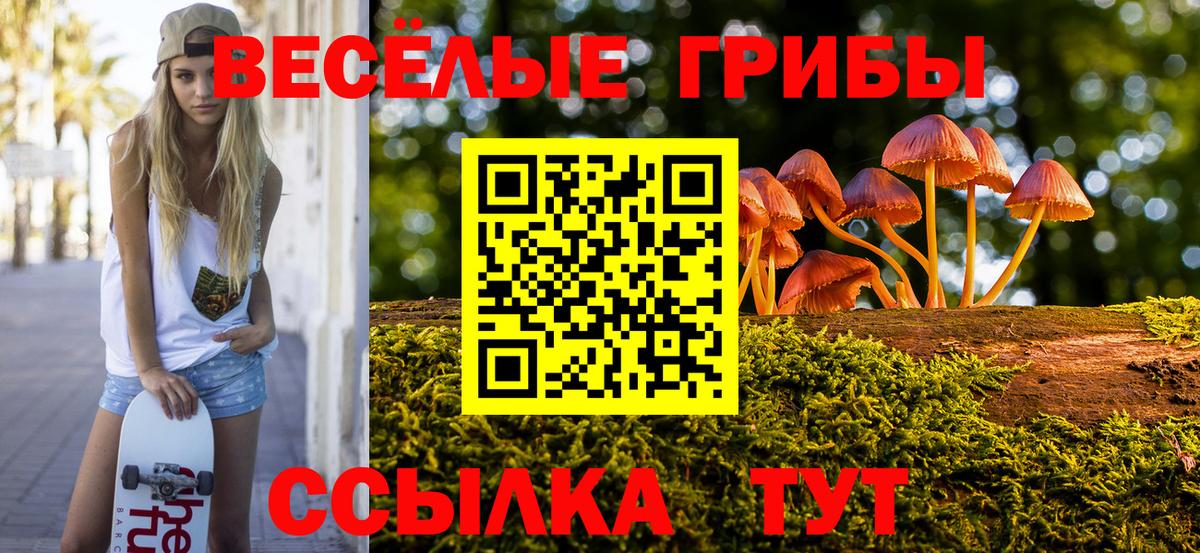 Артёмовский  Галлюциногенные грибы мицелий  Вход с VPN 